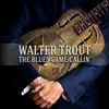 Image de The Blues Came Callin' (Special Edition) en occasion ou reconditionné