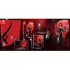Image de Nintendo Games Switch Bloodrayne 2 Revamped Collector Edition