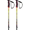 Image de Volkl Bâtons Phantastick Fr