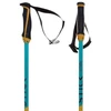 Image de Volkl Bâtons Junior Phantastick