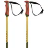 Image de Volkl Bâtons Phantastick 18mm 120 cm