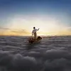 Image de The Endless River Vinyle album