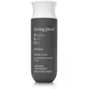 Image de Preuve vivante. Shampoing Journée Parfaite pour les Cheveux 60 ml