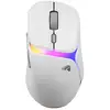 Image de Model D 3 Wireless - White SOURIS GAMING