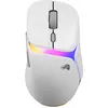 Image de Glorious Model D 3 Wireless Mouse White (Sans fil), Souris, Blanc