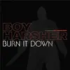 Image de Burn It Down