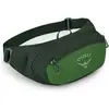 Image de Osprey, Unisexe, Sac banane, Sac banane Daylite Waist 45 cm, Vert