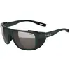 Image de Bolle Lunettes De Soleil Pathfinder SOLACE4 Brown Gun/CAT4