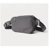 Image de Moment, Sac banane, Fanny Sling 2L V3 Gris, Gris