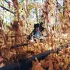Image de Golliwog
