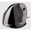 Image de Evoluent Vmdl (Filaire), Souris, Noir, Gris