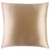 Image de Slip Pure Silk 80x80 Pillowcase Caramel Oreiller 1 art.