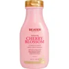 Image de Après-shampoing cheveux gras fleur de cerisier - Beaver Professional