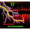 Image de Until the End of Vibration