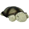 Image de Veilleuse Twilight Turtle Cloud B Moka