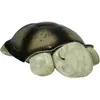 Image de Cloud B, Veilleuse, Twilight Turtle
