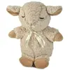 Image de Cloud B Sleep Sheep on the go (CB7302-ZZ)