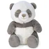 Image de Cloud B, Veilleuse, CLOUD'B-CLTT-7663-POSITIF CUFF PANDA