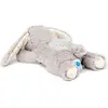 Image de Cloud B, Tapis d'éveil + arche d'activité, Dream Buddies - Bunny (CB7472-BUG)