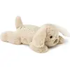 Image de Cloud B, Veilleuse, Dream Buddies male Patch