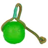 Image de VADIGRAN Starmark Swing n Fling Chew ball - 9x9x46 cm M