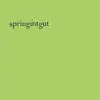 Image de Springintgut EP