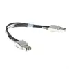Image de Cisco STACK-T1-50CM = Câble de stacking STACK-T1-50CM=