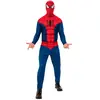 Image de Rubies Costume Spider-man