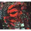 Image de The fool