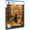 Image de Beast of Reincarnation PS5