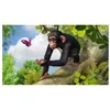 Image de Zoo Tycoon Xbox One allemand Xbox One