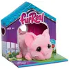 Image de Hasbro FURREAL interactive pet My Mini's (16.51 cm)