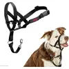 Image de Company of Animals Halti Black Kopfgeschirr 2 (2, Chien, Général), Collier + laisse