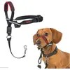 Image de Company of Animals Halti Optifit Kopfgeschirr (S, Chien), Collier + laisse