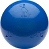 Image de Company of Animals Boomer Ball (Jouet de balle pour chiens), Jouets pour chien