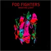 Image de Wasting Light Vinyle album