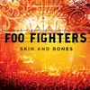 Image de Skin And Bones Vinyle album