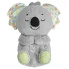 Image de Peluche Lumineuse et Sonore Koala Câlins Bonne Nuit Douce et Apaisante Fisher-Price Gris
