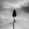 Image de A Black Mile To The Surface Double Vinyle Gatefold Vinyle album