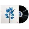 Image de Get Sunk Vinyle album