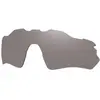 Image de Oakley Verres De Rechange Radar Ev Path Prizm Polarized Prizm Polarized Black/CAT3