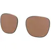 Image de Oakley Verres De Rechange Ojector Prizm Polarized Prizm Polarized Tungsten/CAT3