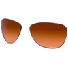 Image de Oakley Verres De Rechange Pasque Prizm Prizm Brown Gradient/CAT3