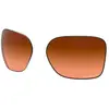 Image de Oakley Verres De Rechange Wildrye Prizm Prizm Brown Gradient/CAT3