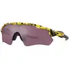 Image de Oakley Lunettes de cyclisme OAKLEY Radar EV Path Prizm TDF