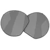 Image de Oakley Verres De Rechange Hstn Prizm Polarized Prizm Black Polar/CAT3