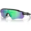 Image de Oakley, Unisexe, Lunettes de sport, Radar EV Path (Noir mat, PRIZM JADE POLARIZED), Noir