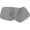 Image de Oakley Verres De Rechange Helux Prizm Black/CAT3