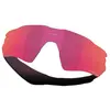 Image de Oakley Verres De Rechange Radar Ev S Path Prizm Field/CAT3