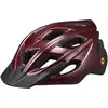 Image de Specialized Casque Chamonix Mips II